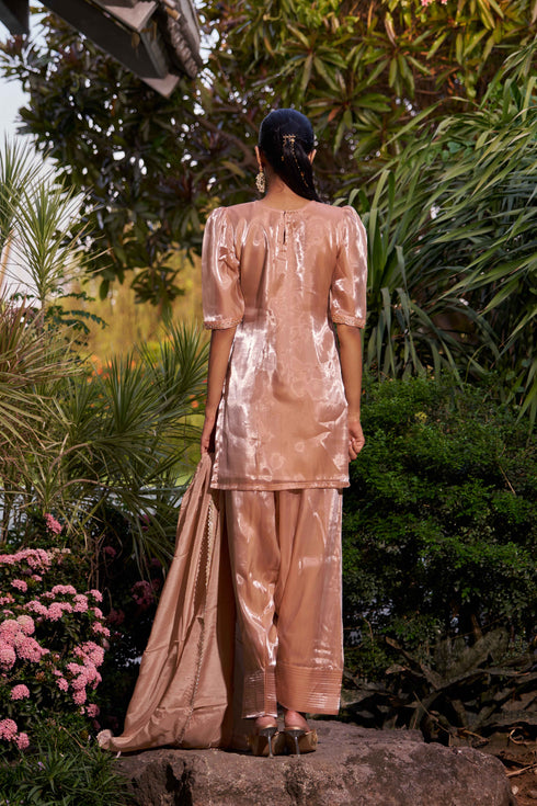 Dhri suit light Brown